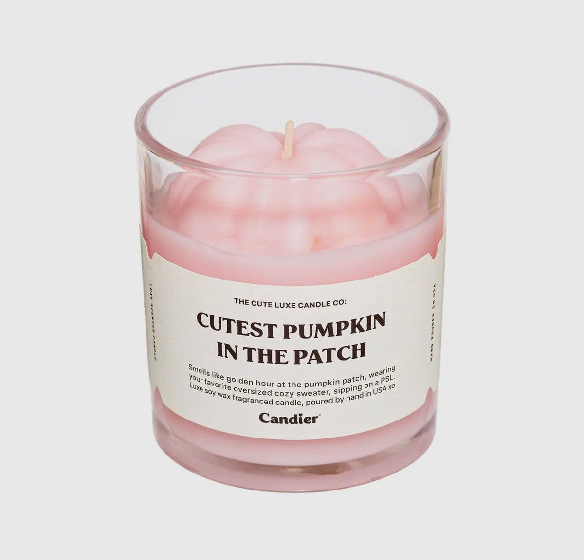 Cutest pumpkin | candier | shop now | Tullyhaize