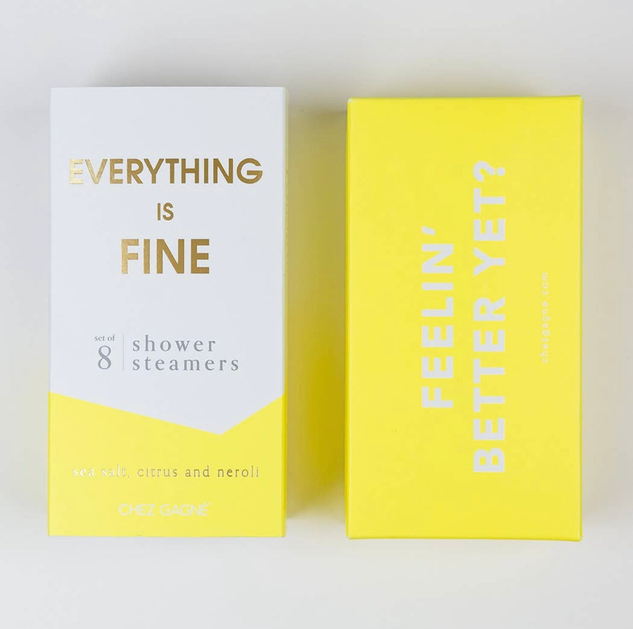 Chez Gagne | Everything is fine shower steamers | shop now | Tullyhaize